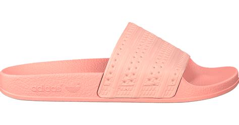 roze adidas slippers maat 38|Roze adidas Slippers voor dames online kopen .